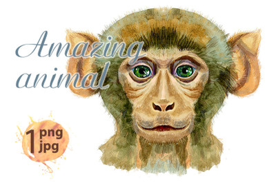 Monkey horoscope character watercolor illustration&nbsp;