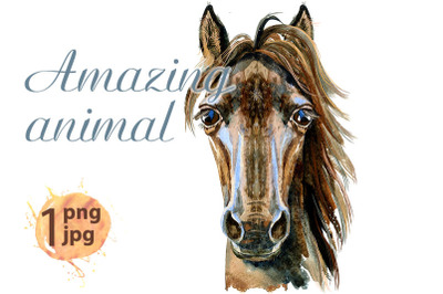 Horse horoscope character watercolor illustration