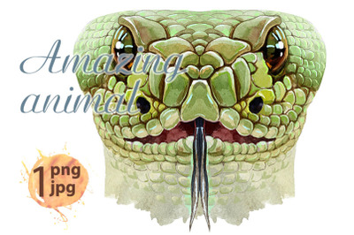 Snake horoscope character watercolor illustration