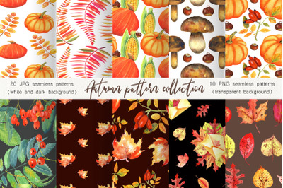 Autumn Pattern Collection