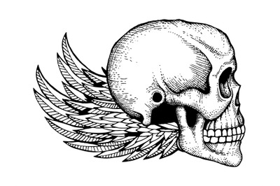 Black and white ink sketched human skull with wings isolated on white