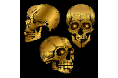 Hand drawn vector death scary human golden skulls on black background