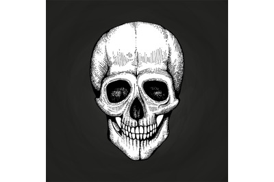 Hand sketched vector death scary human skull on chalkboard