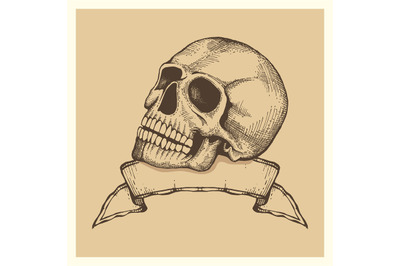 Human skull sketch with ribbon banner - vector