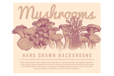 Hand drawn mushrooms background. Autumn gourmet truffles champignon oy