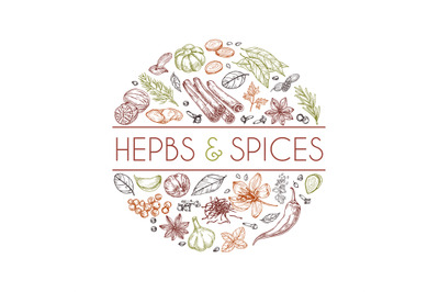 Herbs and spices background. Hand drawn asian food. Indian cooking her