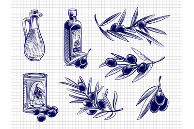 Vector olive oil bottles and olives illustration