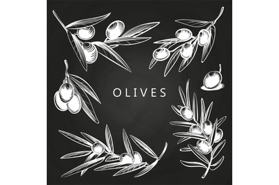 Hand drawn olive branches on vector chalkboard