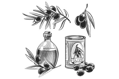 Hand drawn olive oil bottles and olives