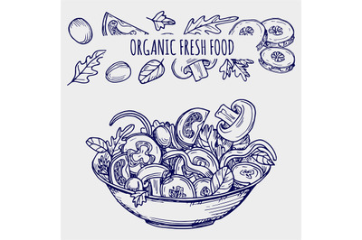 Hand drawn salad bowl and vegetables healhty food vector illustration