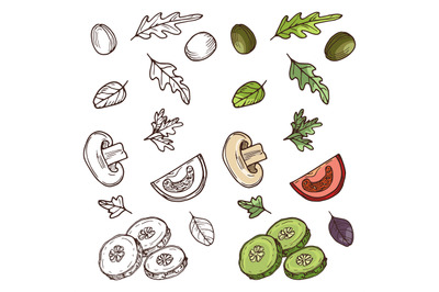 Hand drawn vegan salad ingredients. Tomato, cucumber, olives, greens