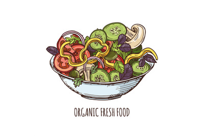 Organic fresh food illustration. Hand drawn greens salad isolated on w