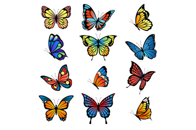 Colored butterflies. Vector pictures of butterflies set