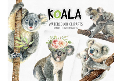 Koala Bear. Animals watercolor cliparts.