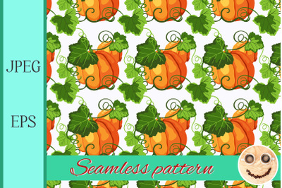 Seamless pattern with pumpkin on the white background.