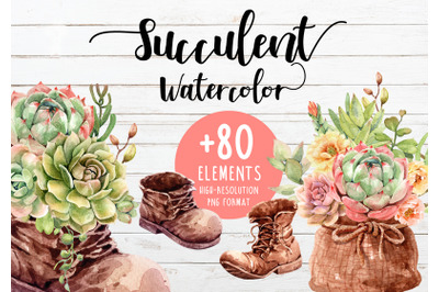 Watercolor Succulents Clipart Individual Elements, Shoe pot