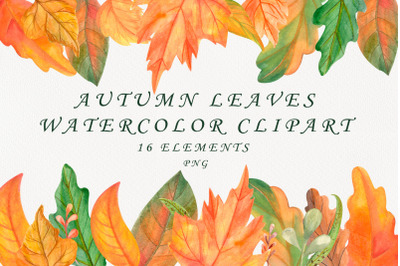 Autumn leaves watercolor clipart