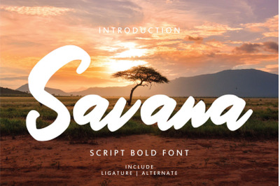 Savana - Script Bold Font