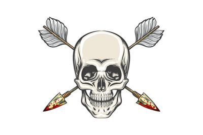 Human Skull and Arrows Tattoo. Vector Illustration