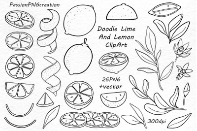 Doodle lime, lemon clipart