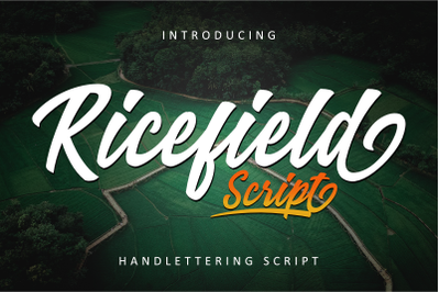 Ricefield Script