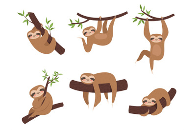 Sloth characters. Cute sleepy animal on branch tree kid climbing vecto