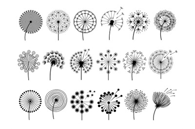 Dandelion silhouettes. Herbal illustrations flowers decoration concept