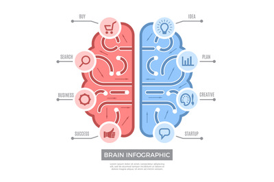 Brain infographic. Conceptual thinking learning symbols vector creativ