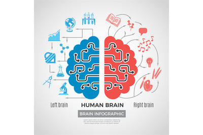 Brain silhouette infographic. Creative thinking learning processes in