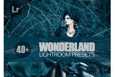 40+ Wonderland Lightroom Presets bundle (Presets for Lightroom 5,6,CC)