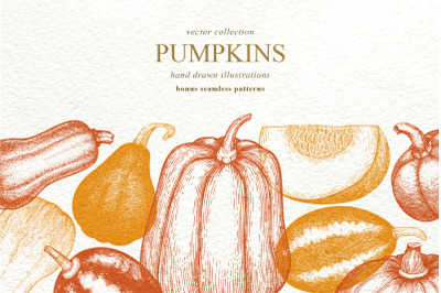 Pumpkin Vector Collection