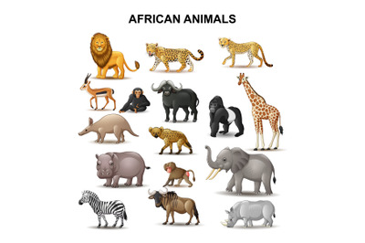 African Animals Collection