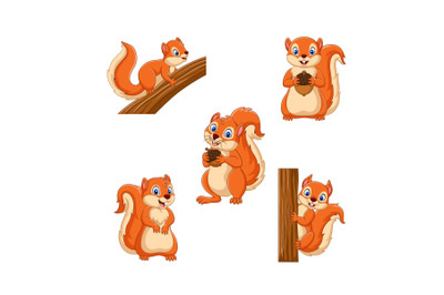 Cartoon squirrels collection
