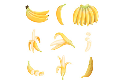 Banana cartoon. Fruits half appetizing dessert vector pictures collect