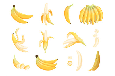 Banana fruit. Appetizing dessert food eating vector cartoon pictures