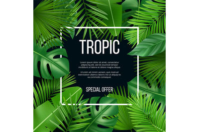 Leaves frame. Vector design template with nature green plants tropical