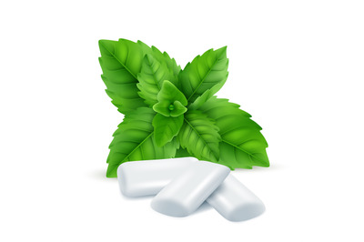 Mint gum. Fresh menthol leaves with white gum sweets for breathing fre