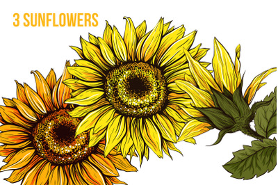 Free Free Sunflower Texas Svg 239 SVG PNG EPS DXF File