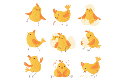 Cartoon chicken. Egg cute yellow little farm birds funny chick vector