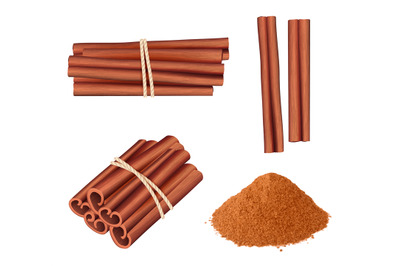 Cinnamon realistic. Aromatic herbs dessert plant food stick cinnamon s