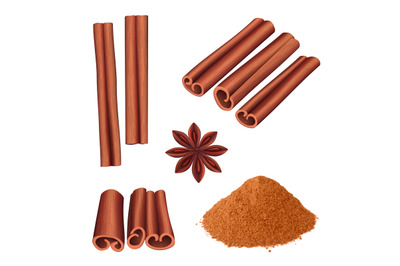 Cinnamon spice. Herbs dessert aromatic food stick cinnamon bark vector