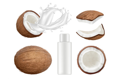 Coconut collection. Fresh tropical coco fruit with milk vector nature