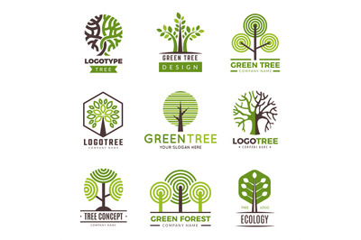 Tree logotypes. Eco green symbols wood stylized trees plants vector lo