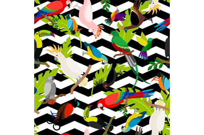 Fashion parrots seamless pattern