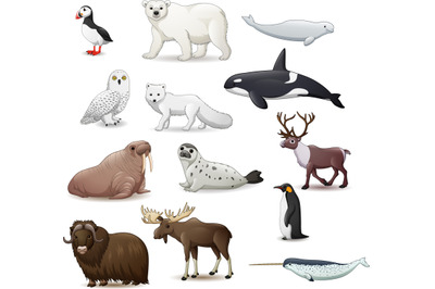 Arctic Animals Collection