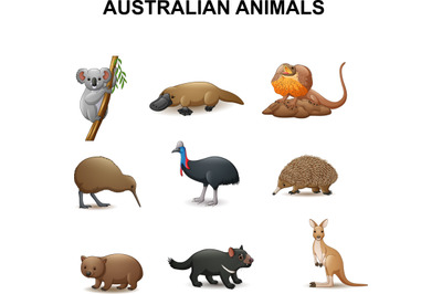 Australian Animals Collection
