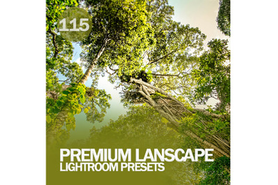 115 Premium Lanscape Lightroom Presets