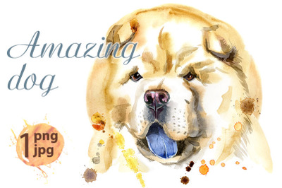 Watercolor portrait of chow-chow dog