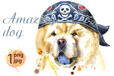 Watercolor portrait of chow-chow dog wearing biker bandana