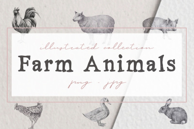 Farm Animals Illustration Pack